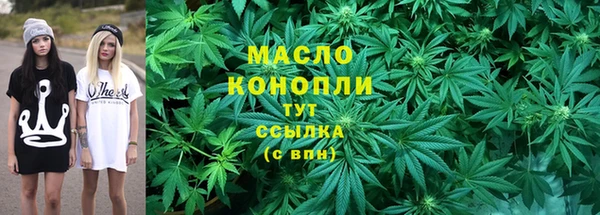 индика Богданович