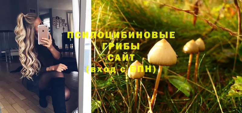 Галлюциногенные грибы Magic Shrooms  блэк спрут tor  Калязин 